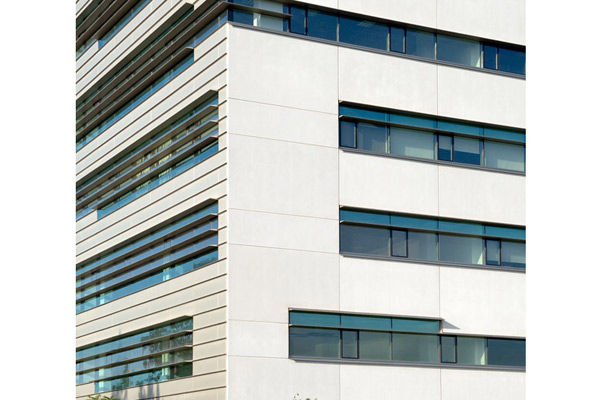 Mur-rideau  Alucobond et fenêtres