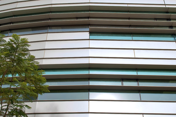 Mur-rideau  Alucobond et fenêtres